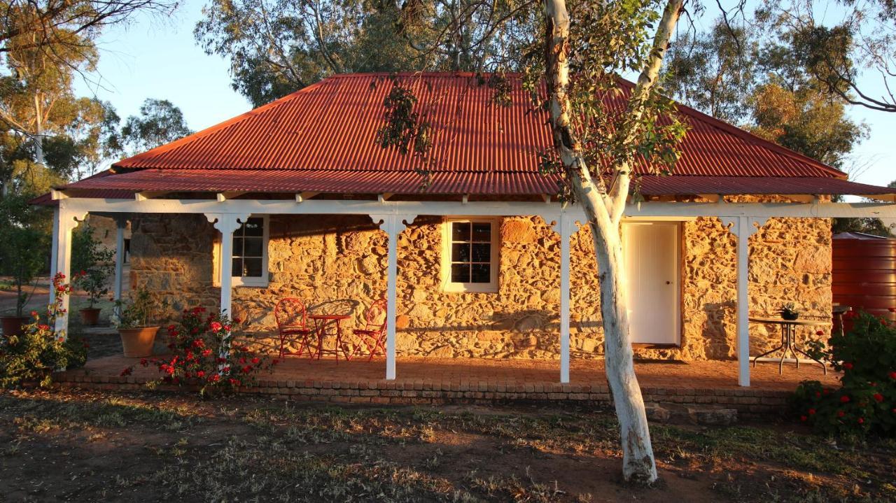Dempster Cottage Irishtown Exteriör bild